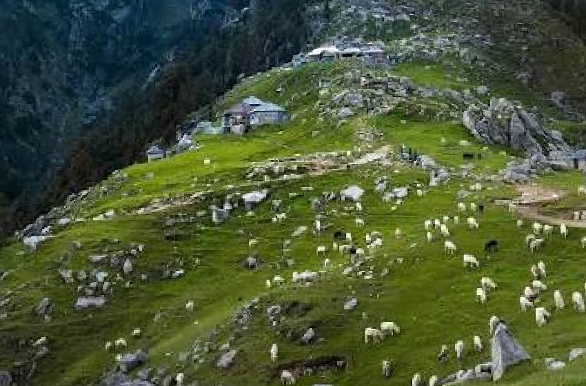Dharamshala Tour Taxi