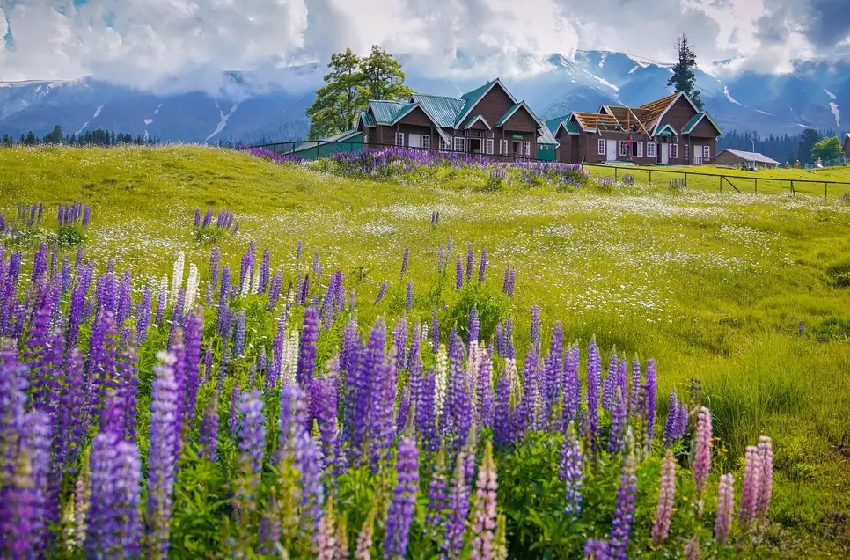 Srinagar to Sonmarg, Pahalgam & Gulmarg Tour From Chandigarh