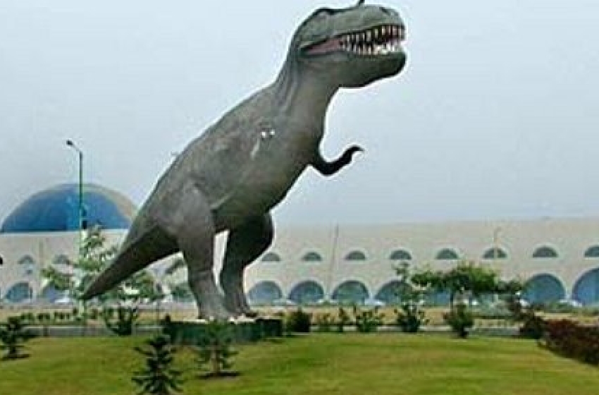 Jalandhar Taxi Service