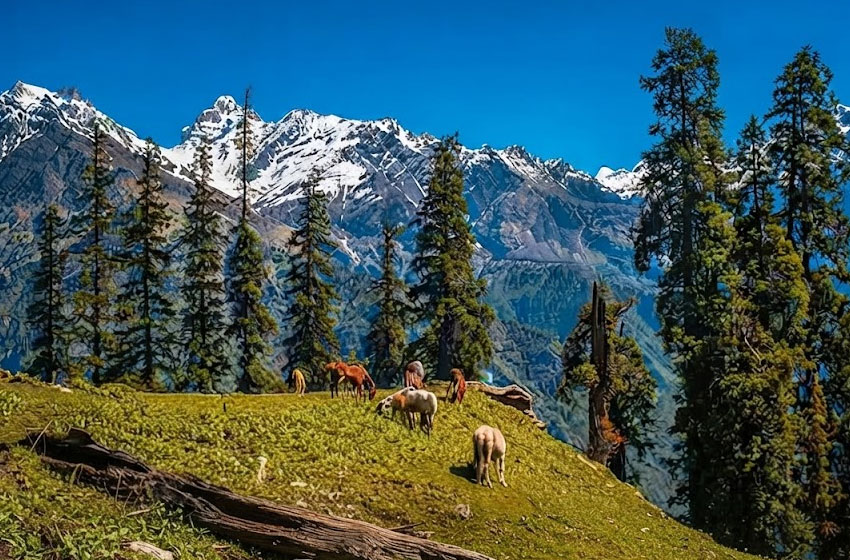 Chandigarh to Dalhousie Day Escape