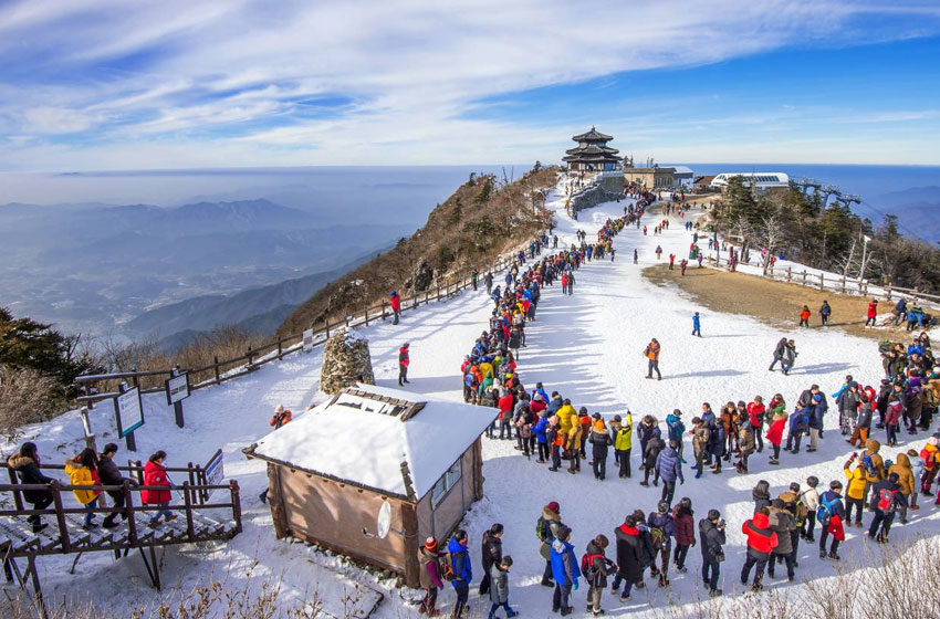Himalayan Wonders from Amritsar
