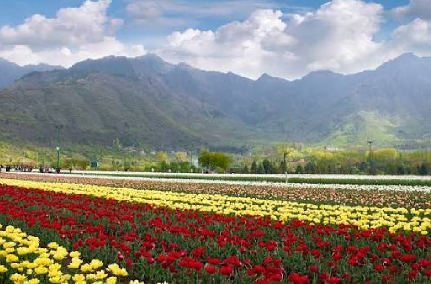 Srinagar Tour | Houseboat Stay, Shikara Ride & Sightseeing