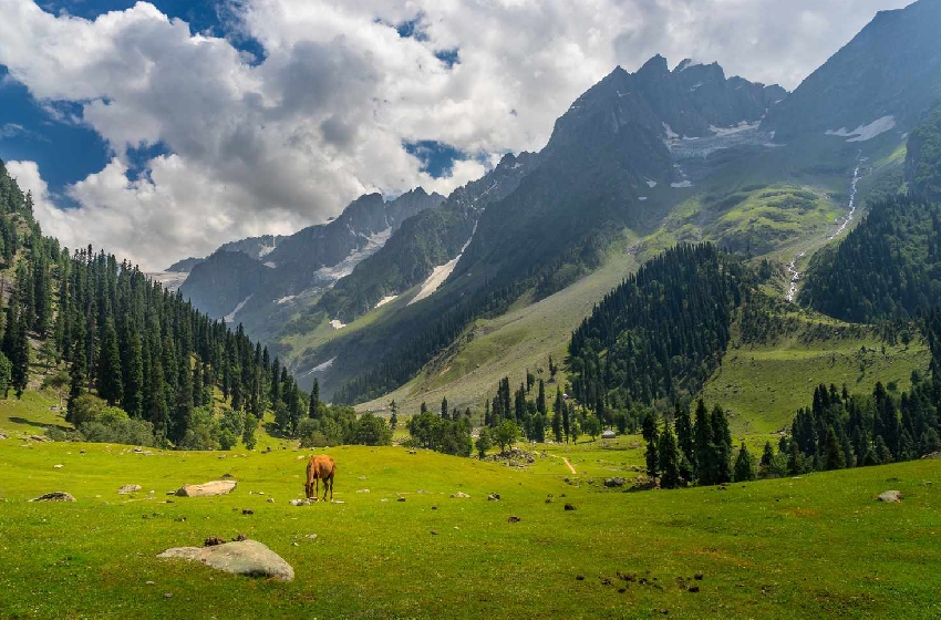 Chandigarh to Srinagar & Pahalgam Tour