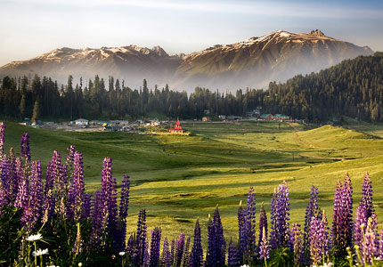 Amritsar to Srinagar Kashmir Tour