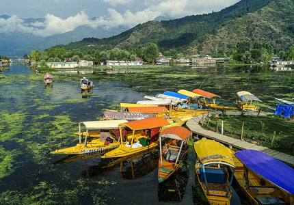 Srinagar Tour Taxi