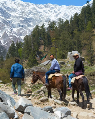 Horse Riding